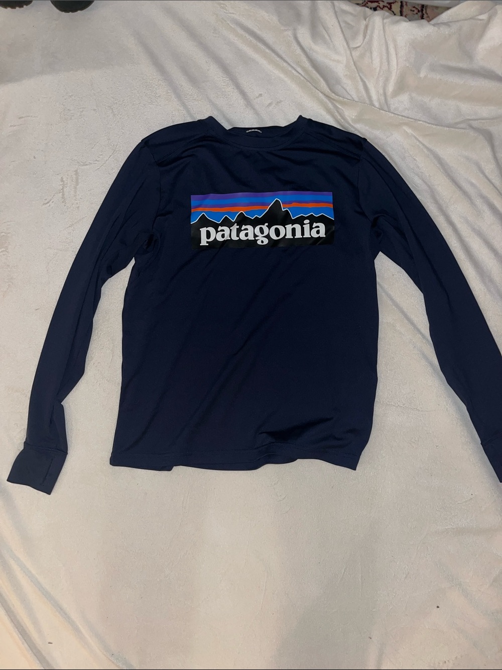 Patagonia Navy Long Sleeve Logo Shirt with Multicolor Mountain Stripe